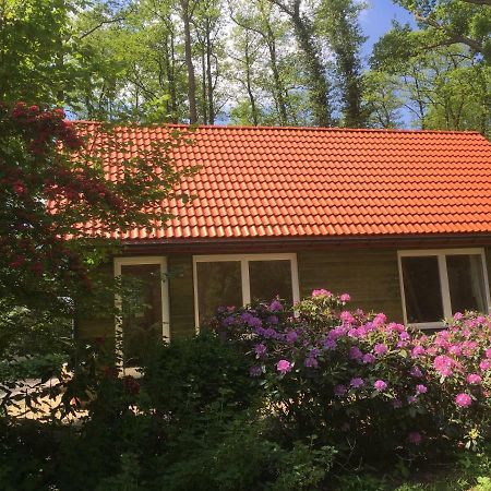 Ferienhof Ohlenbusch Worpswede Exterior foto