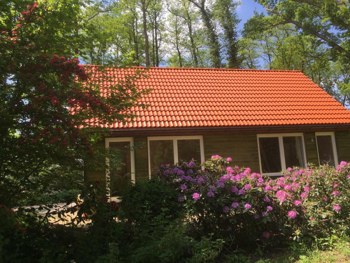 Ferienhof Ohlenbusch Worpswede Exterior foto